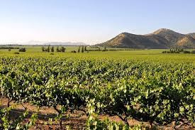 Vineyard Tours Chile